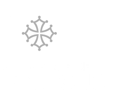 mairie toulouse up two you video film promotionnel sport